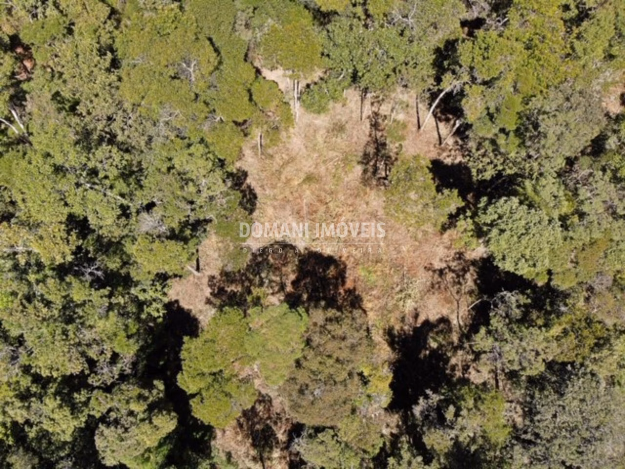 Plot of 2,690 m² in Campos do Jordão, SP, Brazil