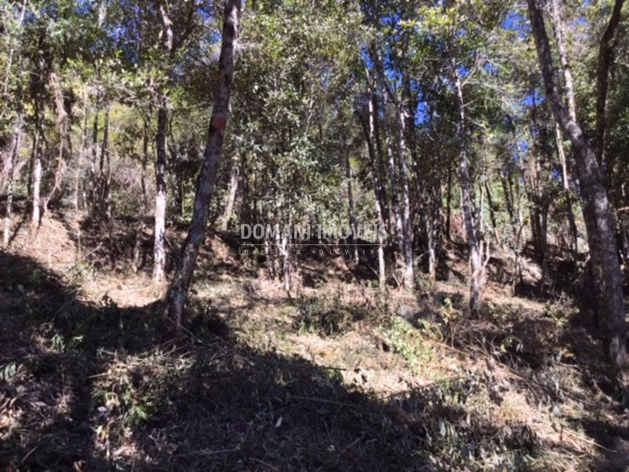Plot of 2,690 m² in Campos do Jordão, SP, Brazil