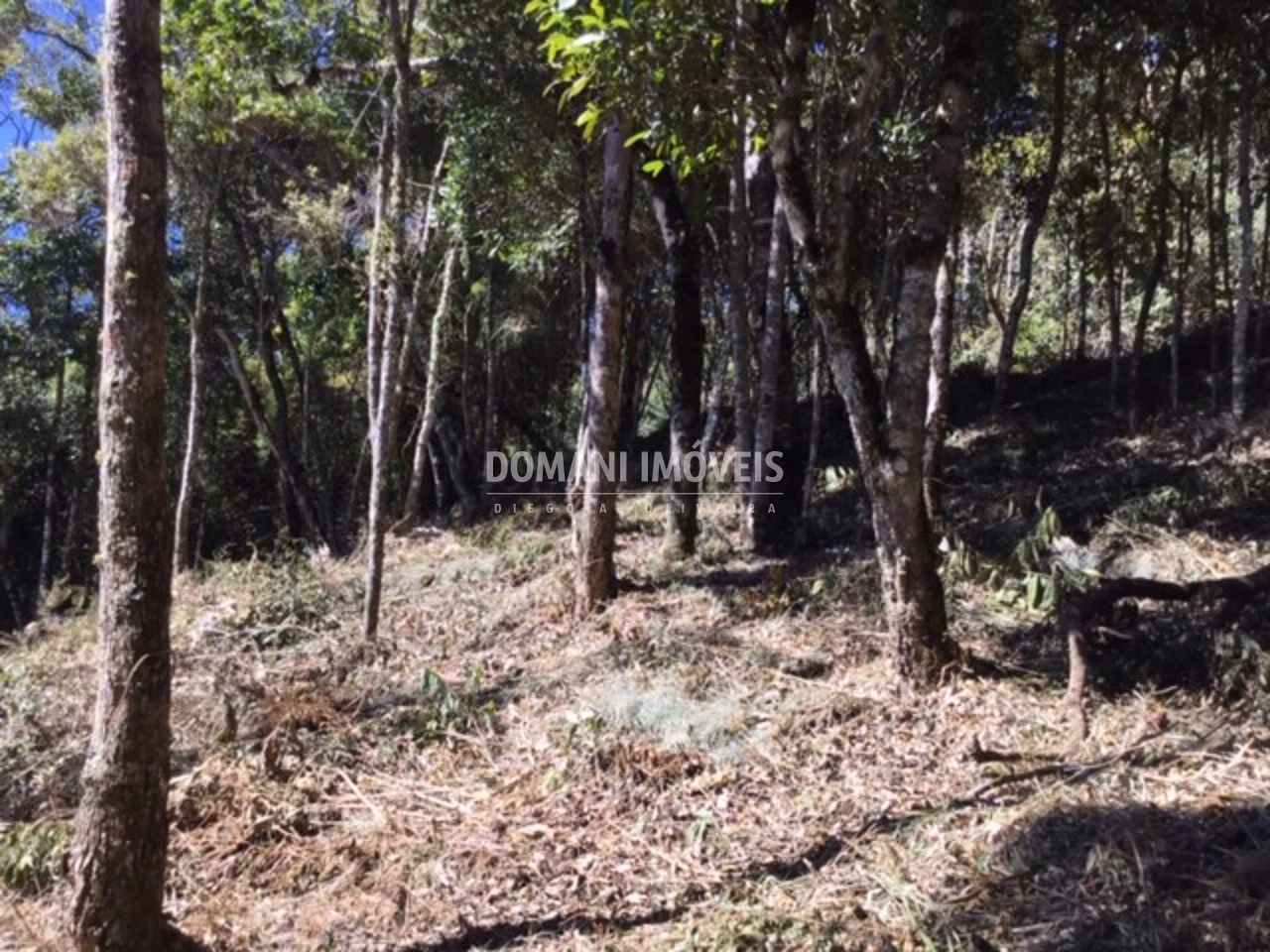 Plot of 2,690 m² in Campos do Jordão, SP, Brazil