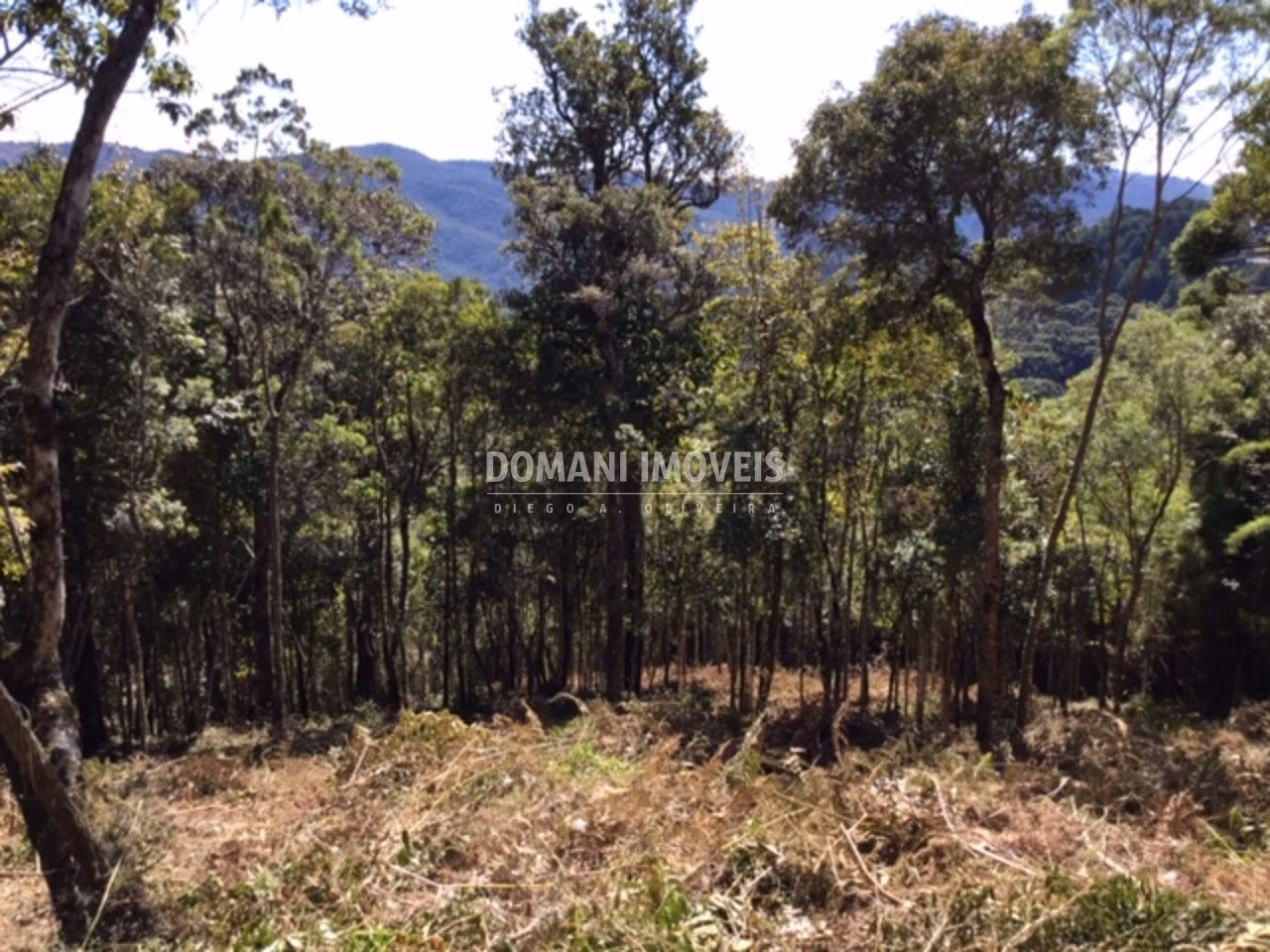 Plot of 2,690 m² in Campos do Jordão, SP, Brazil