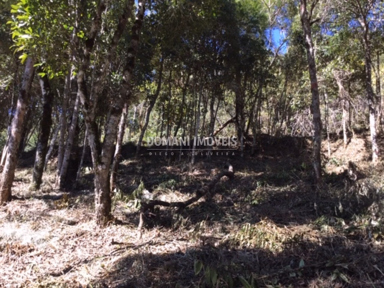 Plot of 2,690 m² in Campos do Jordão, SP, Brazil