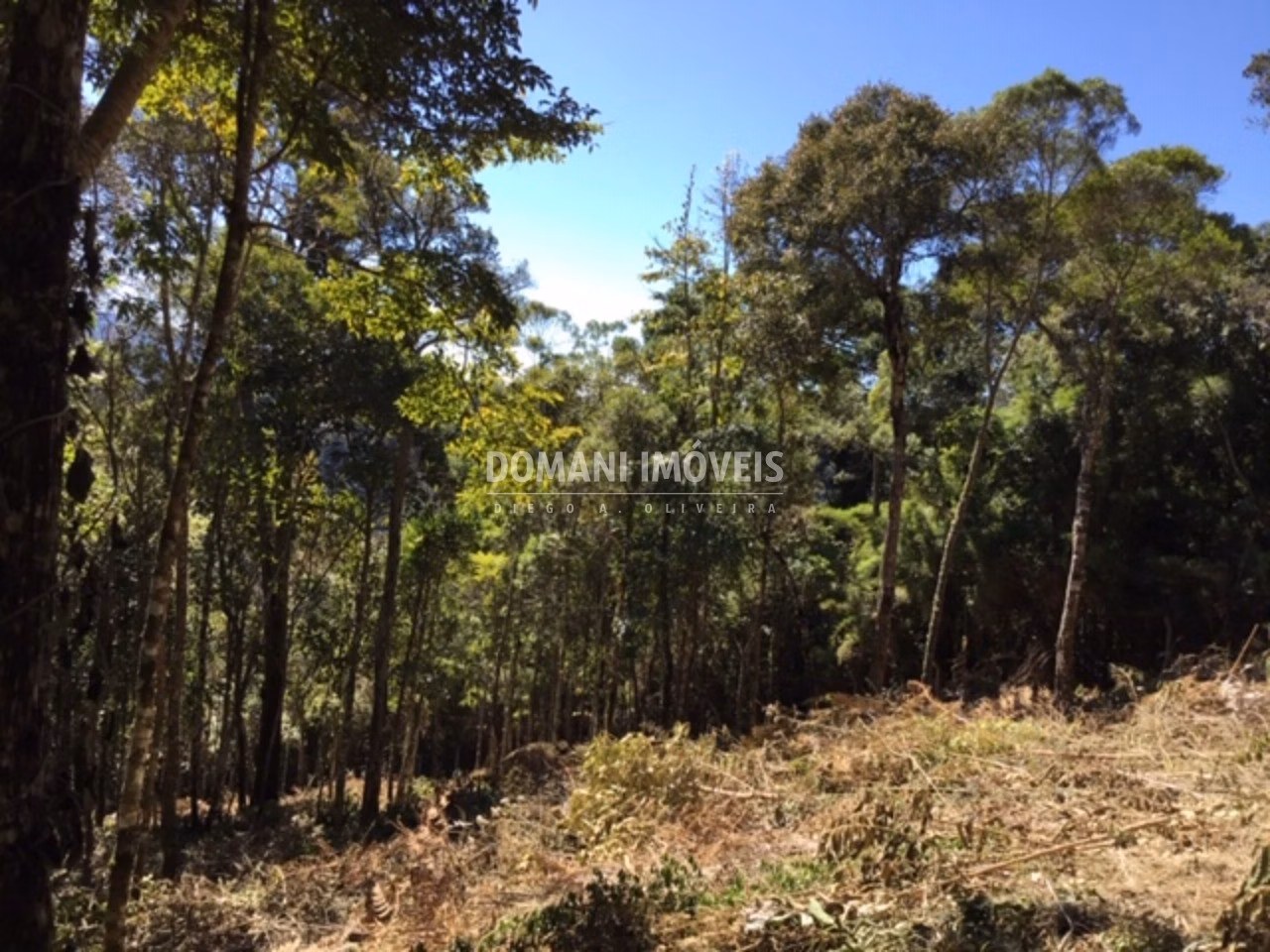 Plot of 2,690 m² in Campos do Jordão, SP, Brazil