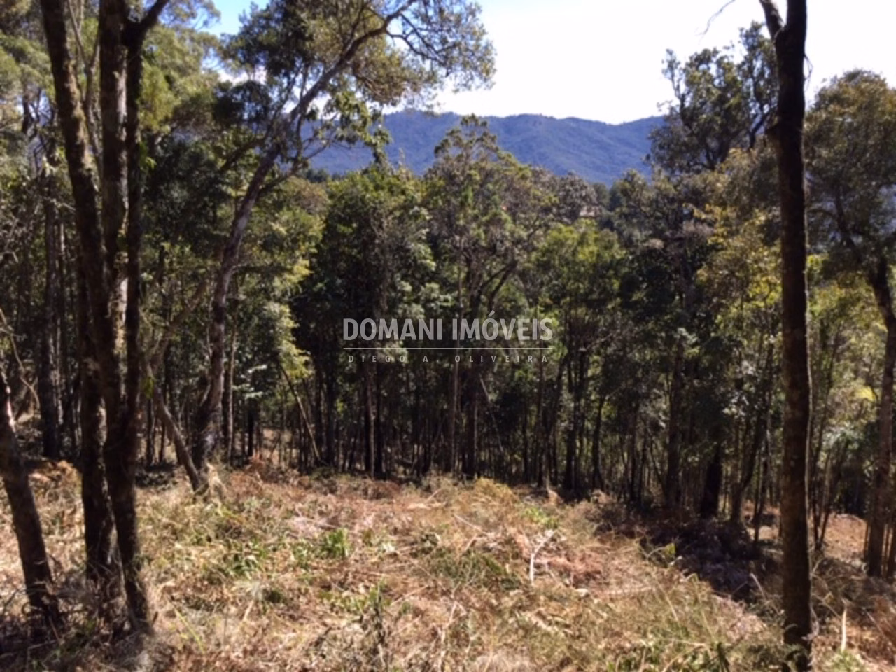 Plot of 2,690 m² in Campos do Jordão, SP, Brazil