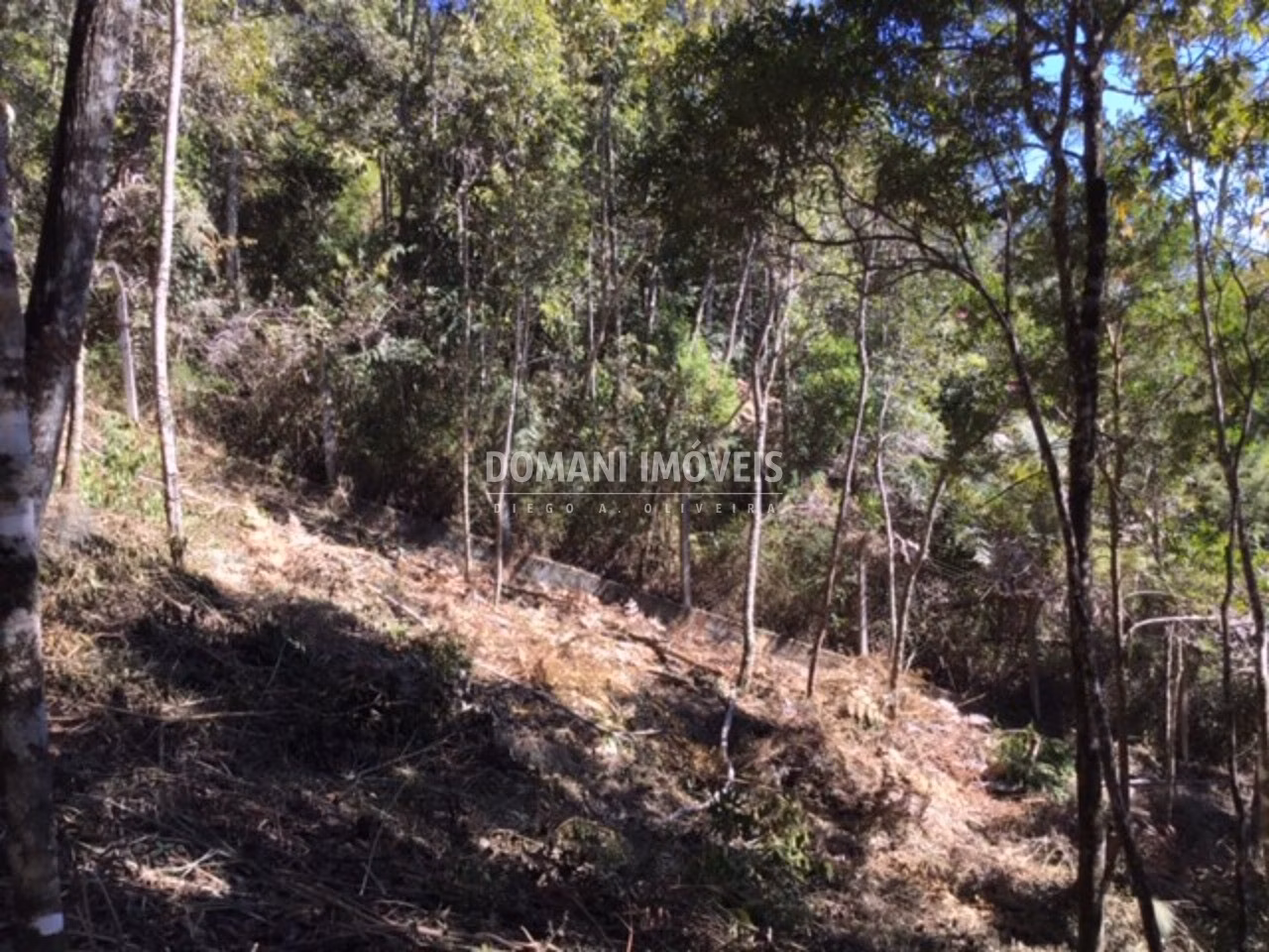 Plot of 2,690 m² in Campos do Jordão, SP, Brazil
