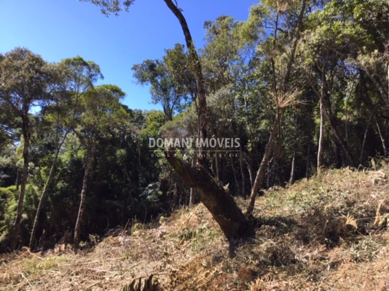 Plot of 2,690 m² in Campos do Jordão, SP, Brazil