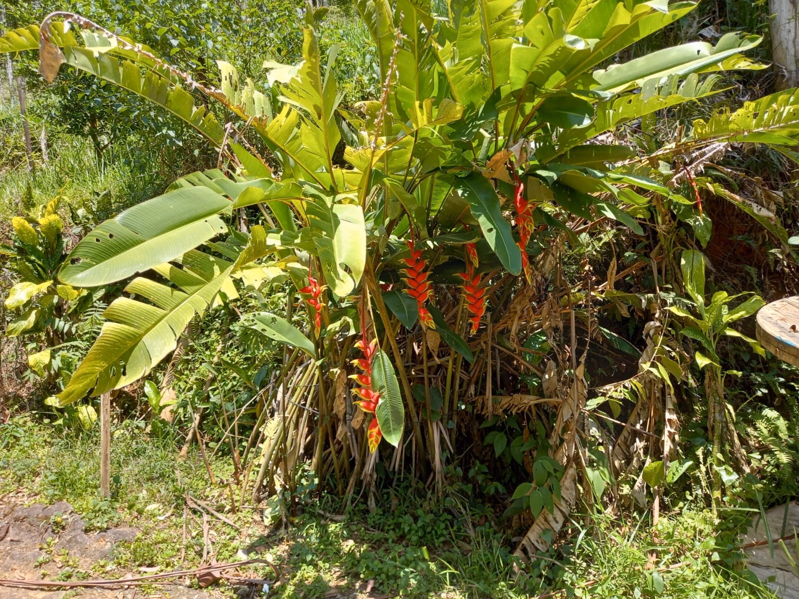 Country home of 1 acres in São José dos Campos, SP, Brazil