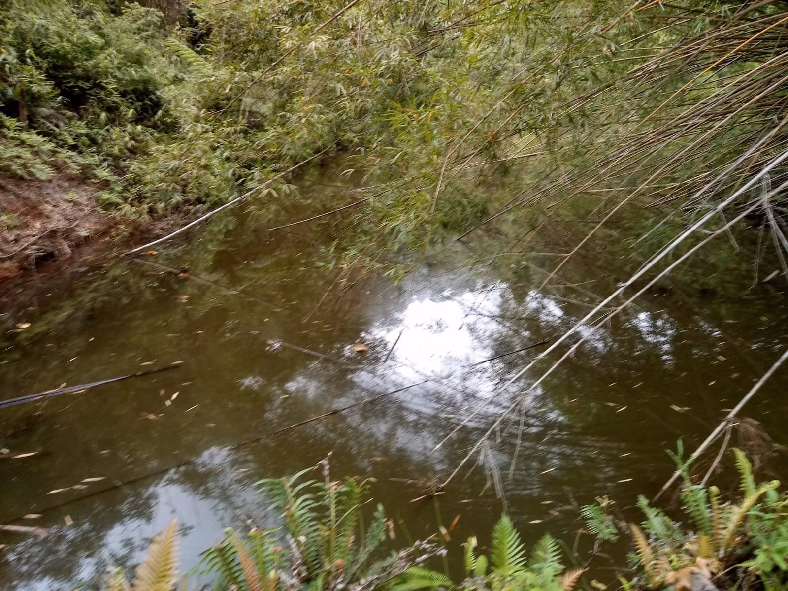 Sítio de 10 ha em São José dos Campos, SP