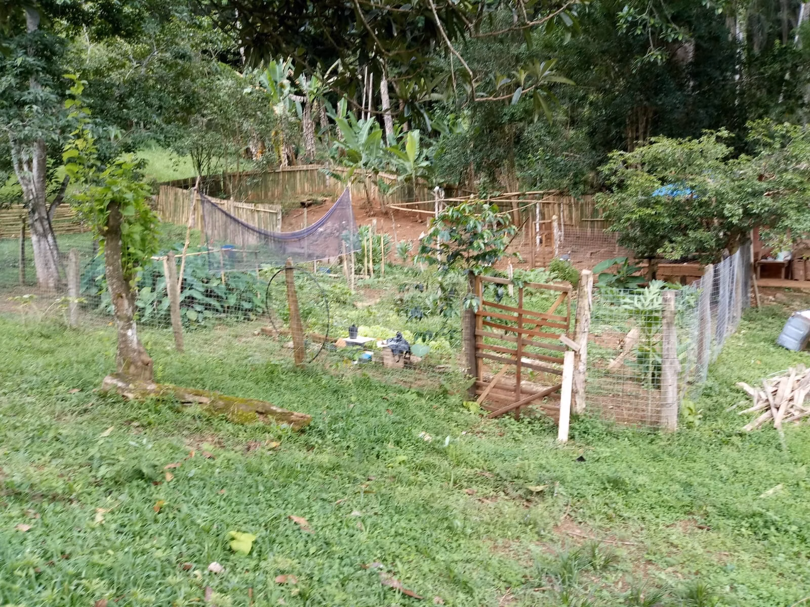 Sítio de 10 ha em São José dos Campos, SP
