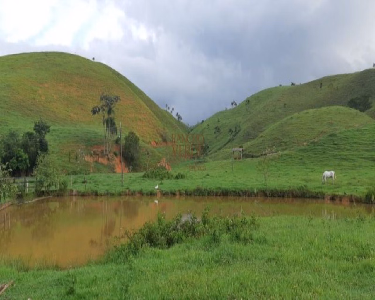 Fazenda de 131 ha em Jacareí, SP