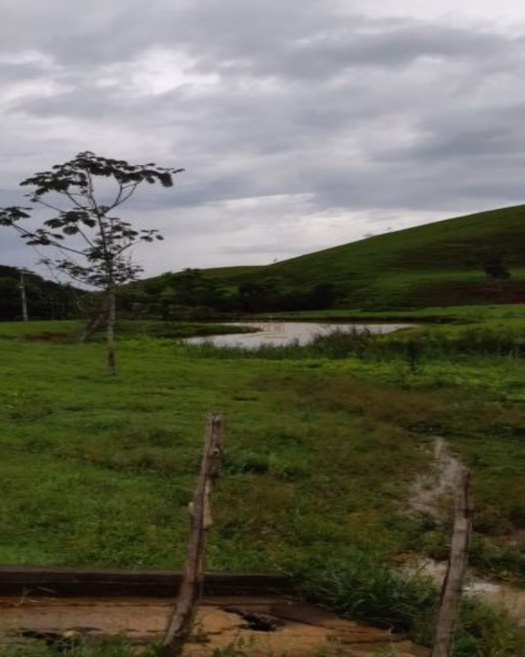 Fazenda de 131 ha em Jacareí, SP
