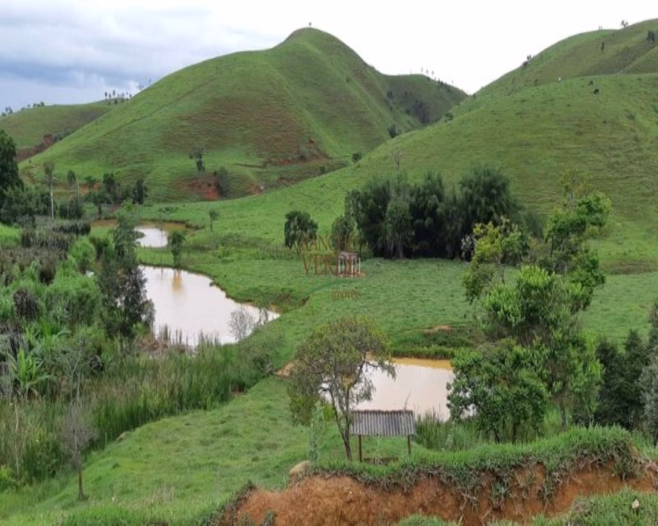 Fazenda de 131 ha em Jacareí, SP