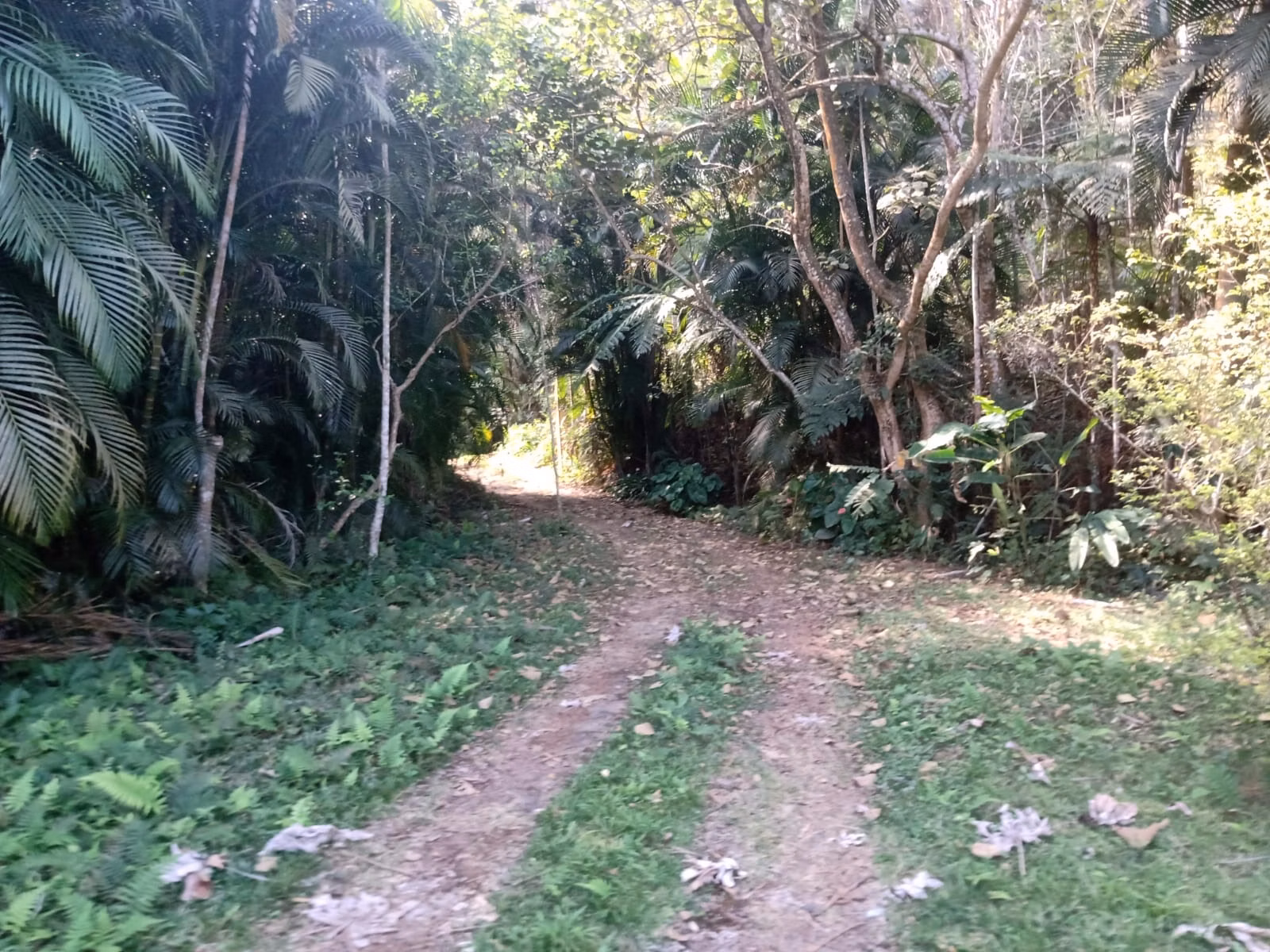 Sítio de 5 ha em São José dos Campos, SP