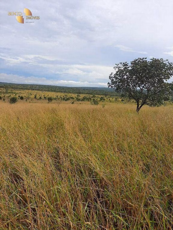 Fazenda de 2.700 ha em Paranatinga, MT