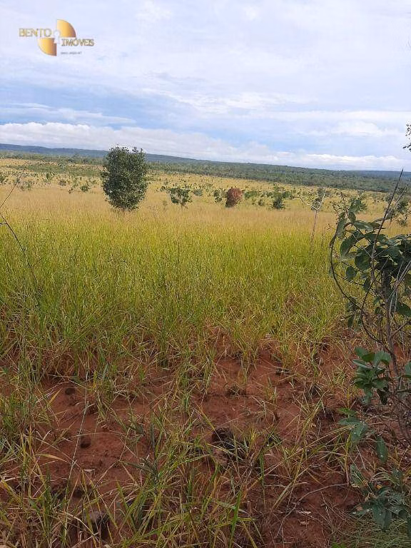 Fazenda de 2.700 ha em Paranatinga, MT