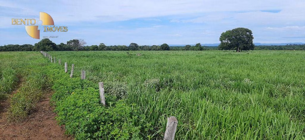 Fazenda de 600 ha em Poconé, MT