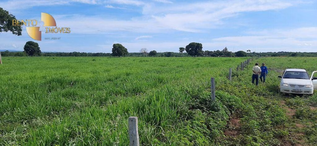 Fazenda de 600 ha em Poconé, MT