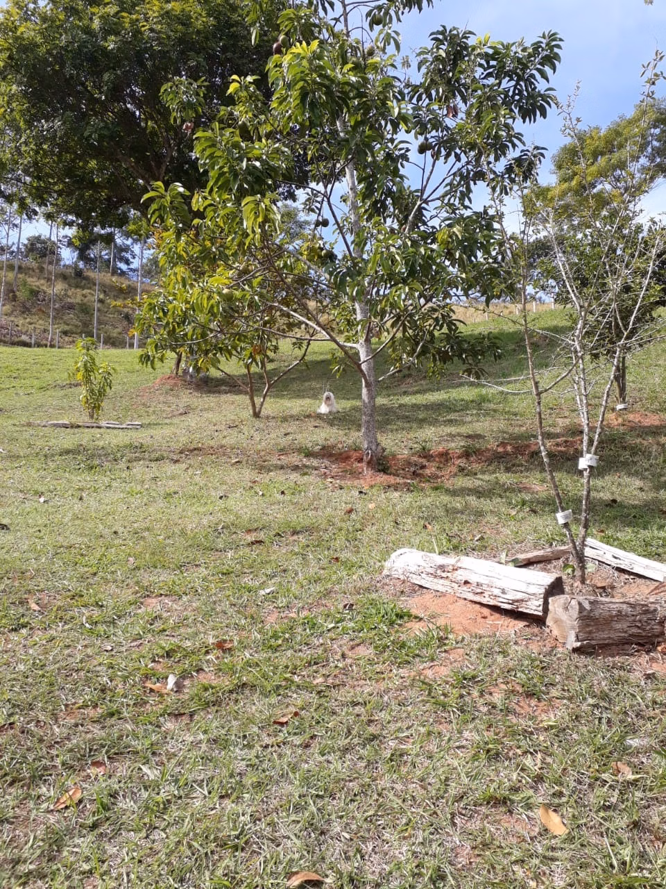 Chácara de 1 ha em Taubaté, SP