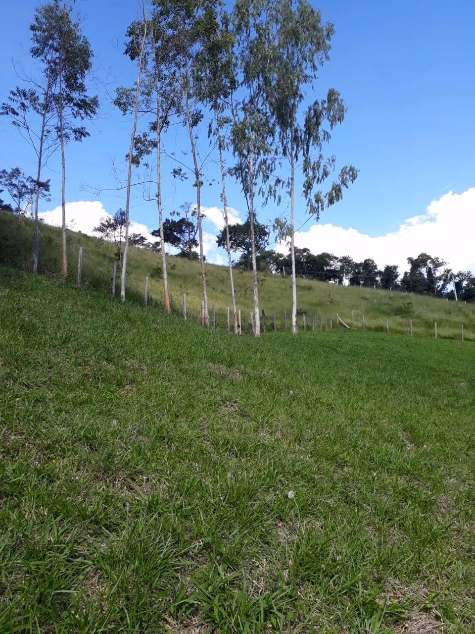 Chácara de 1 ha em Taubaté, SP
