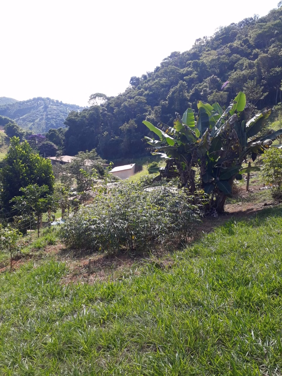 Chácara de 1 ha em Taubaté, SP