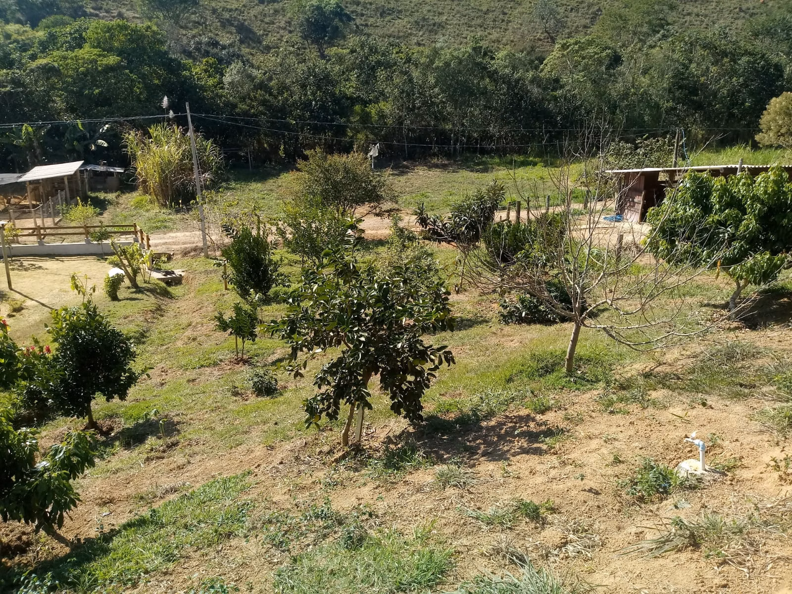 Sítio de 2 ha em Monteiro Lobato, SP