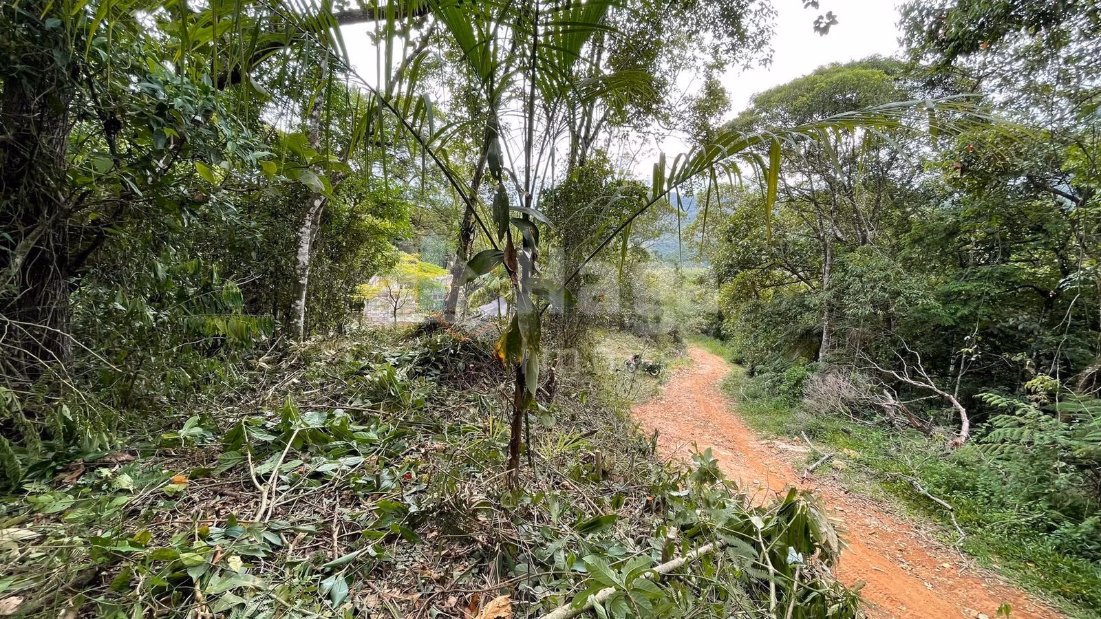 Chácara de 4 ha em Canelinha, SC