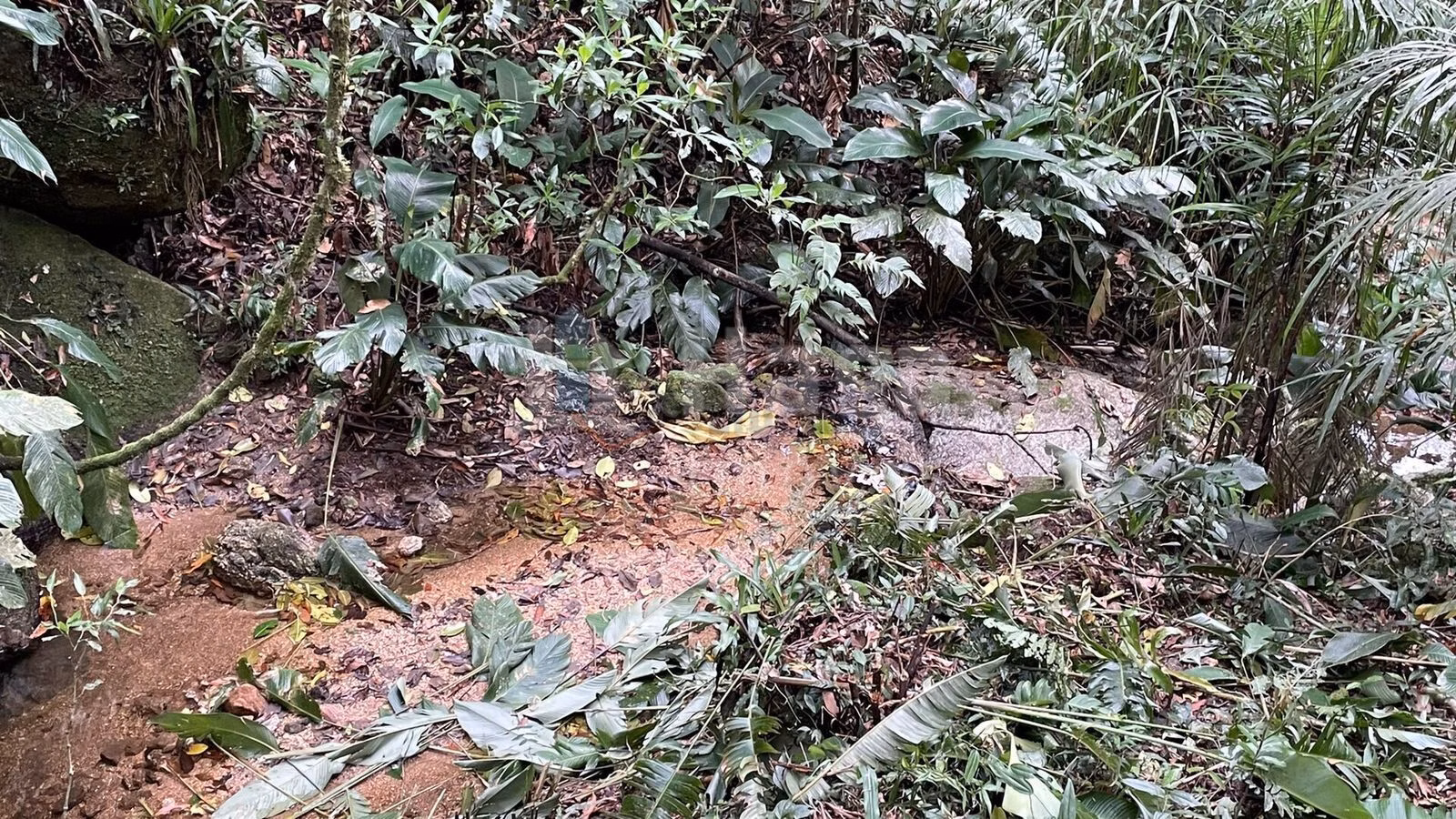 Chácara de 4 ha em Canelinha, SC