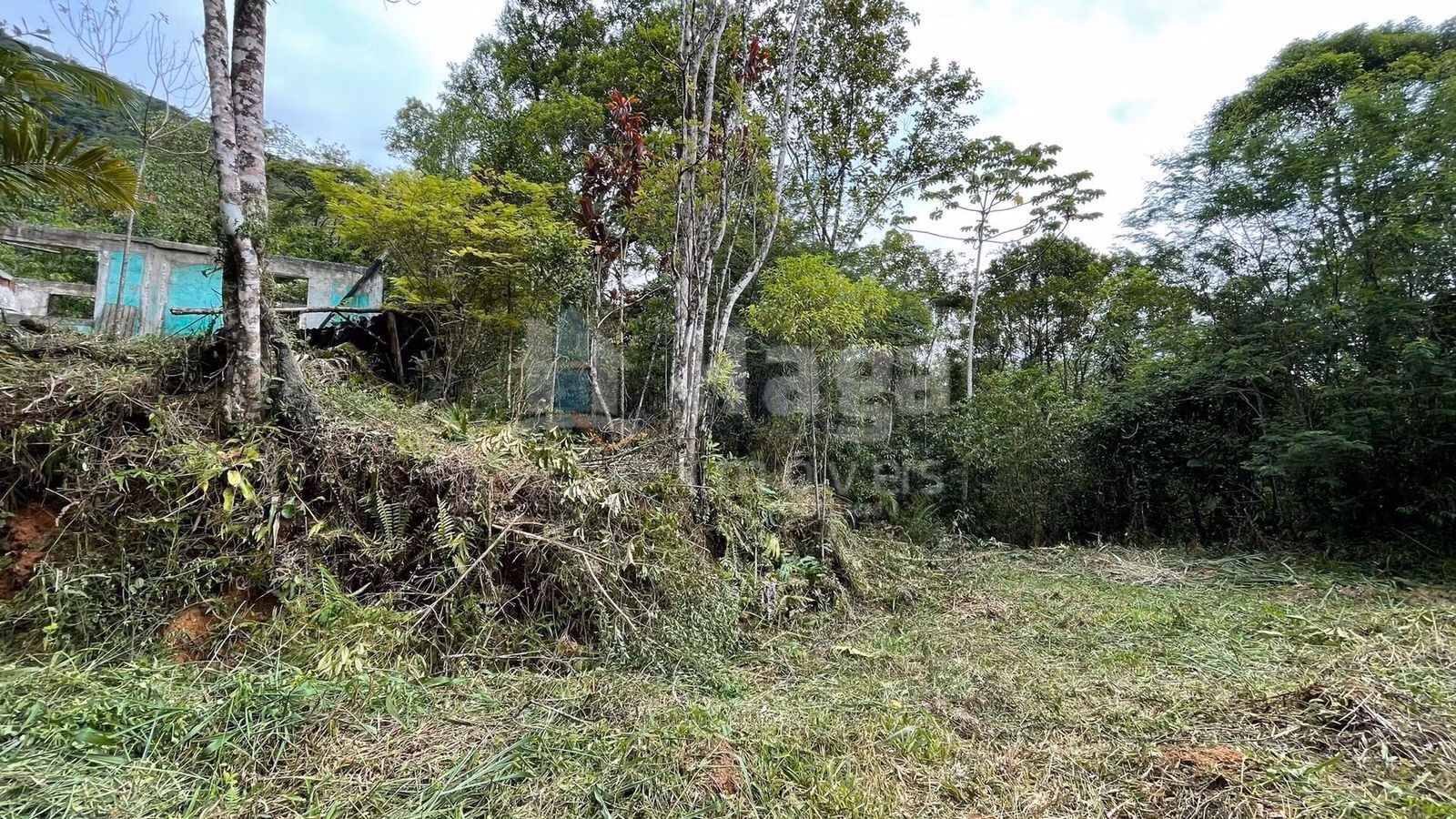 Chácara de 4 ha em Canelinha, SC