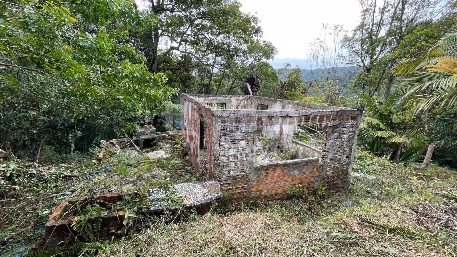 Chácara de 4 ha em Canelinha, SC