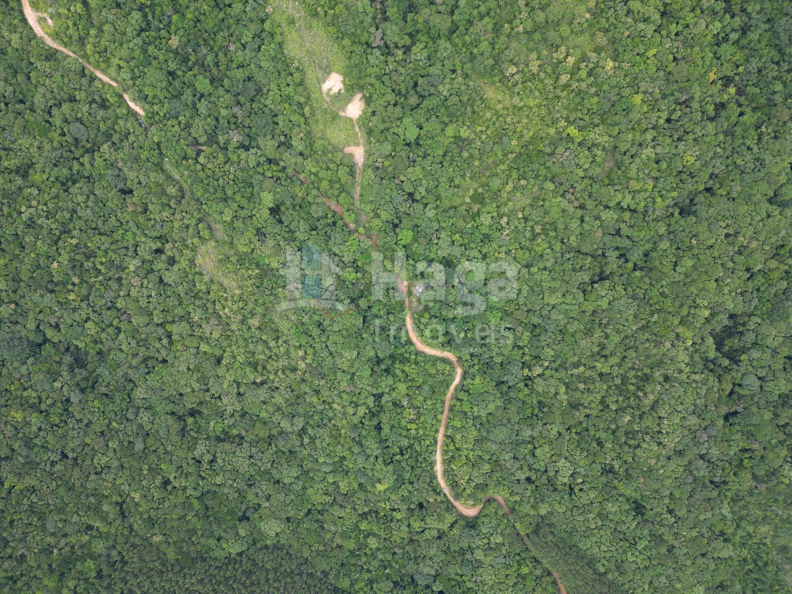 Chácara de 4 ha em Canelinha, SC