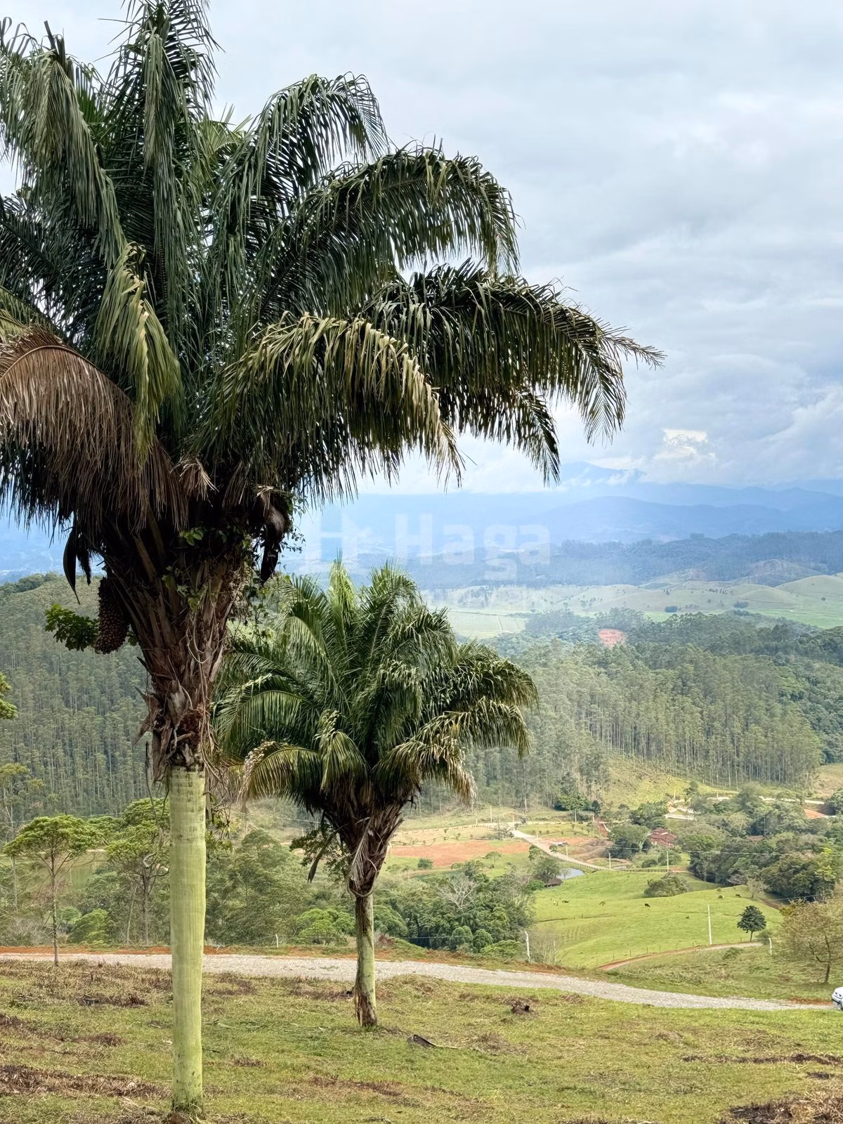 Chácara de 3.484 m² em Canelinha, SC