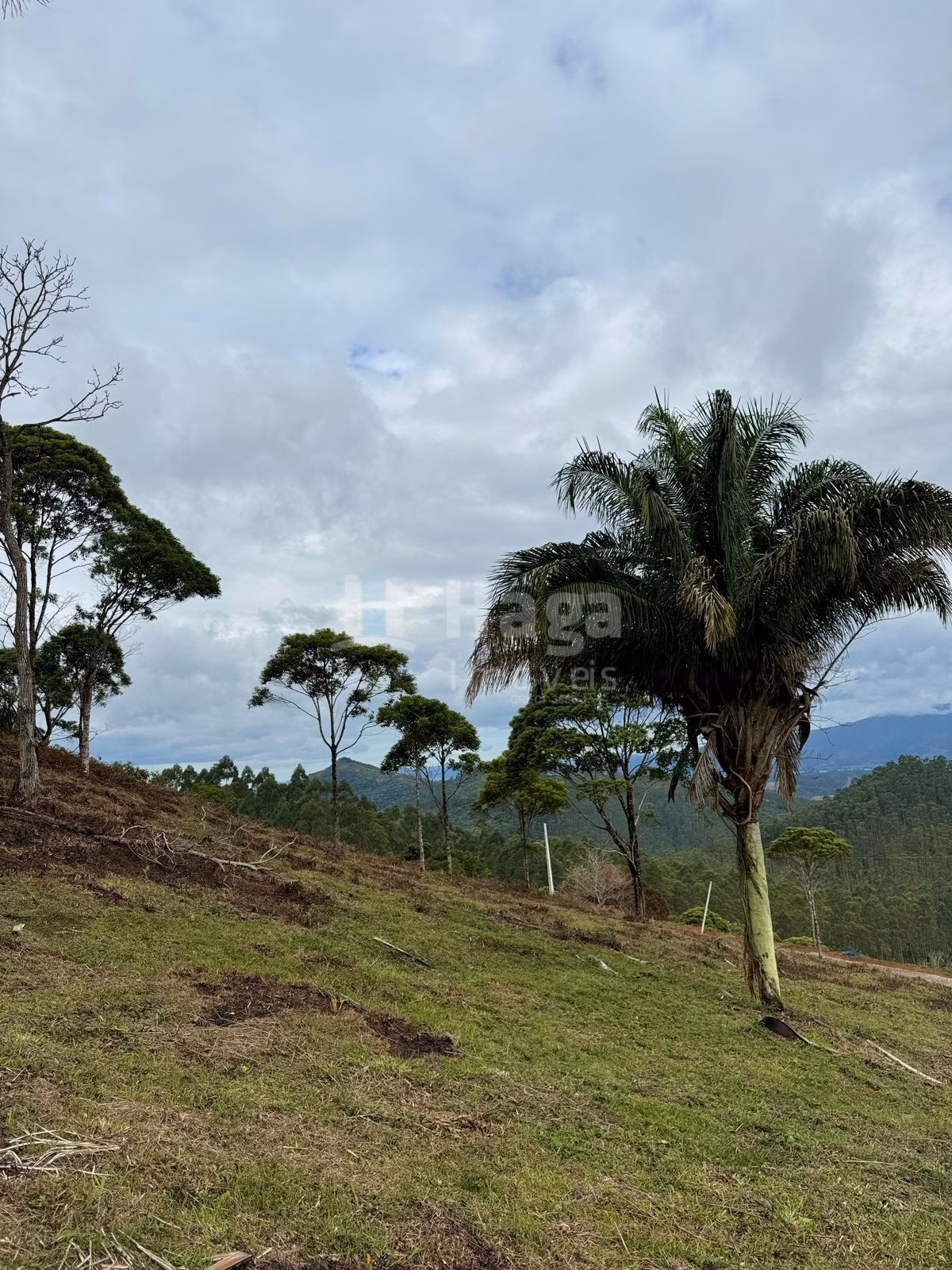 Chácara de 3.484 m² em Canelinha, SC