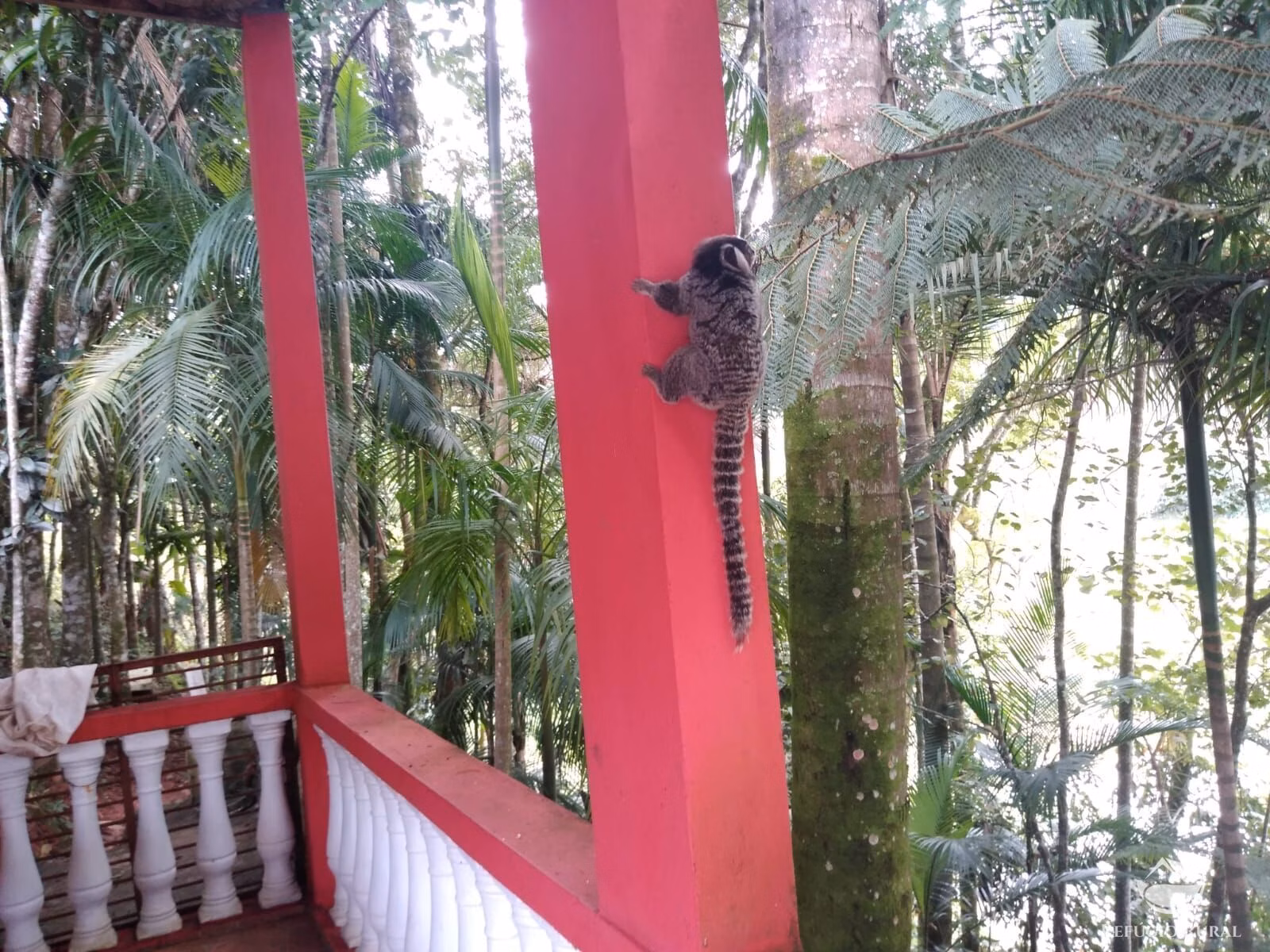 Country home of 2 acres in São José dos Campos, SP, Brazil