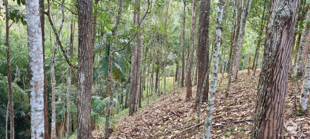 Chácara de 7.000 m² em São José dos Campos, SP