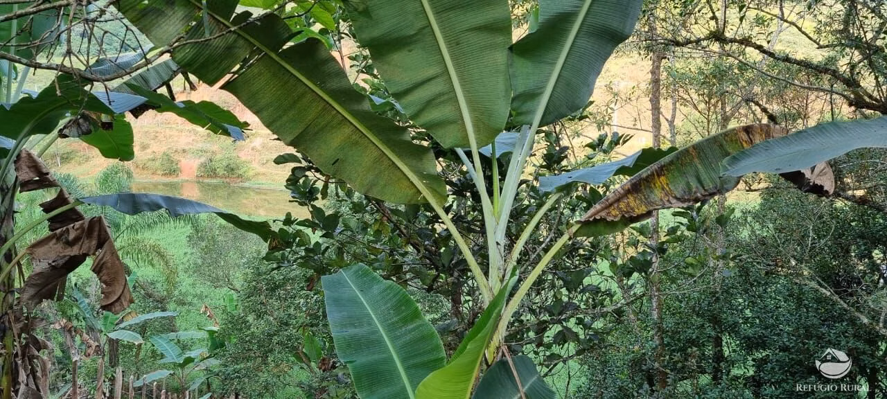 Country home of 2 acres in São José dos Campos, SP, Brazil