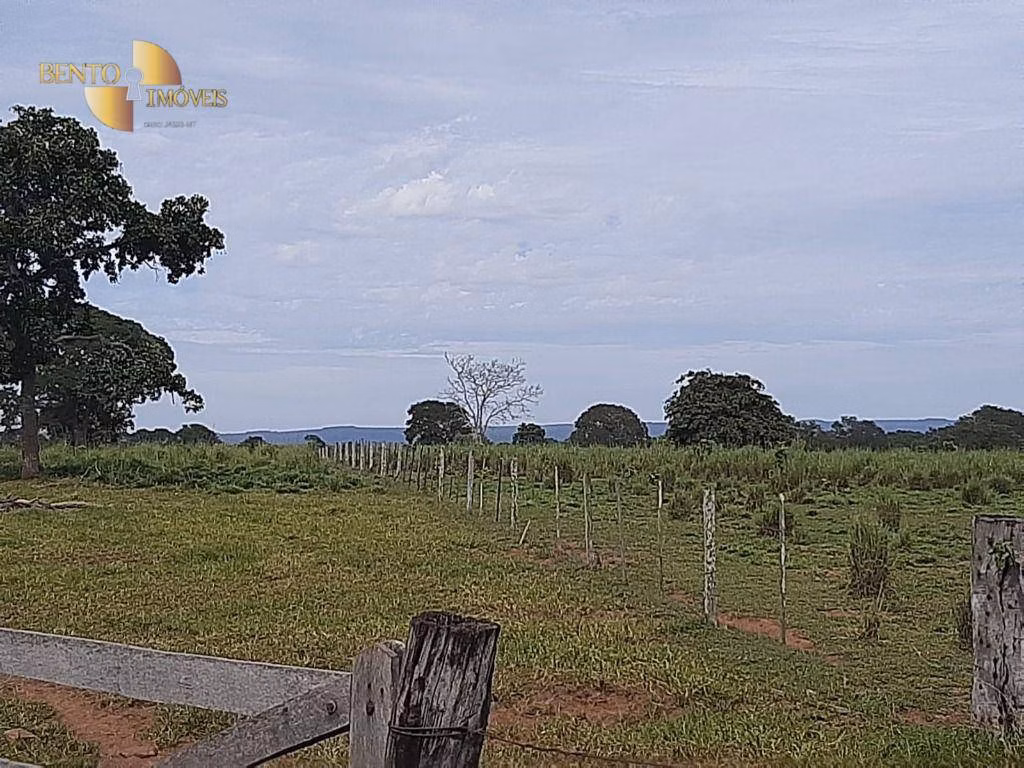 Fazenda de 246 ha em Chapada dos Guimarães, MT