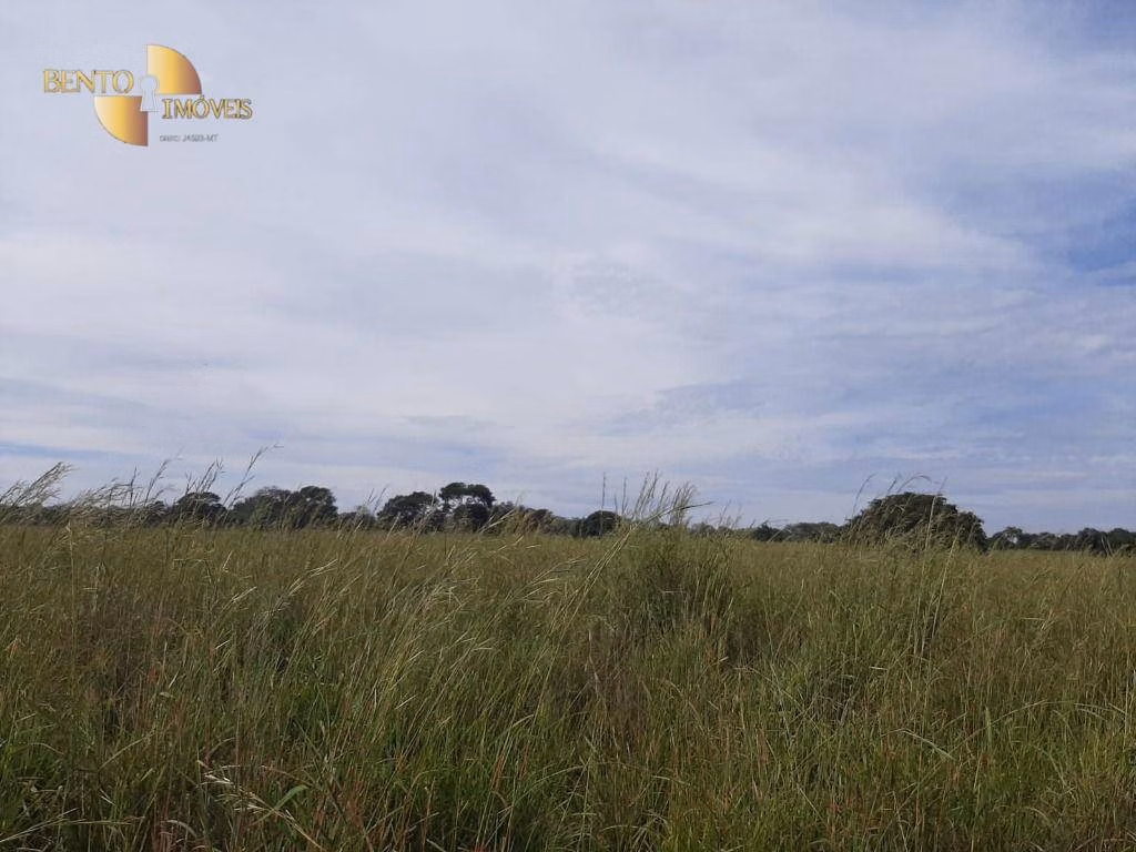 Fazenda de 246 ha em Chapada dos Guimarães, MT