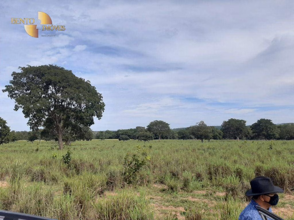 Fazenda de 246 ha em Chapada dos Guimarães, MT