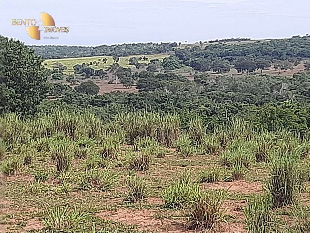 Fazenda de 246 ha em Chapada dos Guimarães, MT