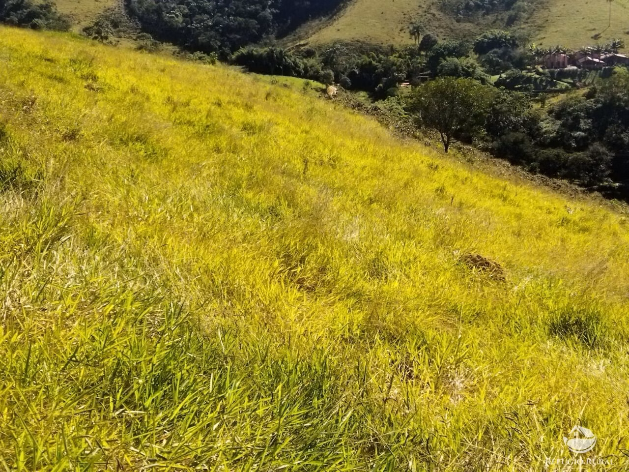 Terreno de 3 ha em São José dos Campos, SP