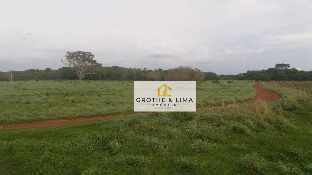 Farm of 29.653 acres in Araguacema, TO, Brazil