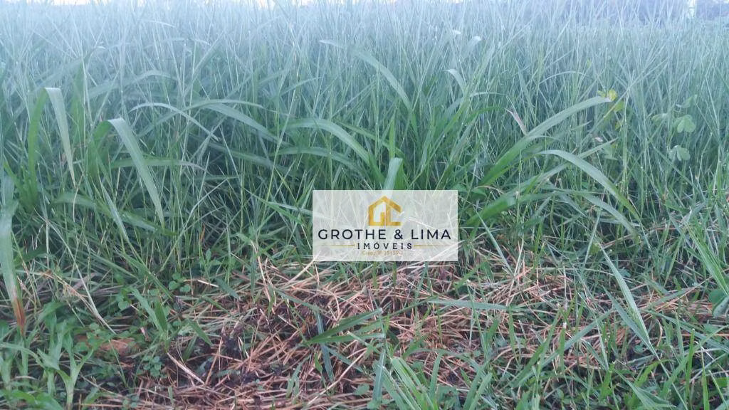 Farm of 29.653 acres in Araguacema, TO, Brazil