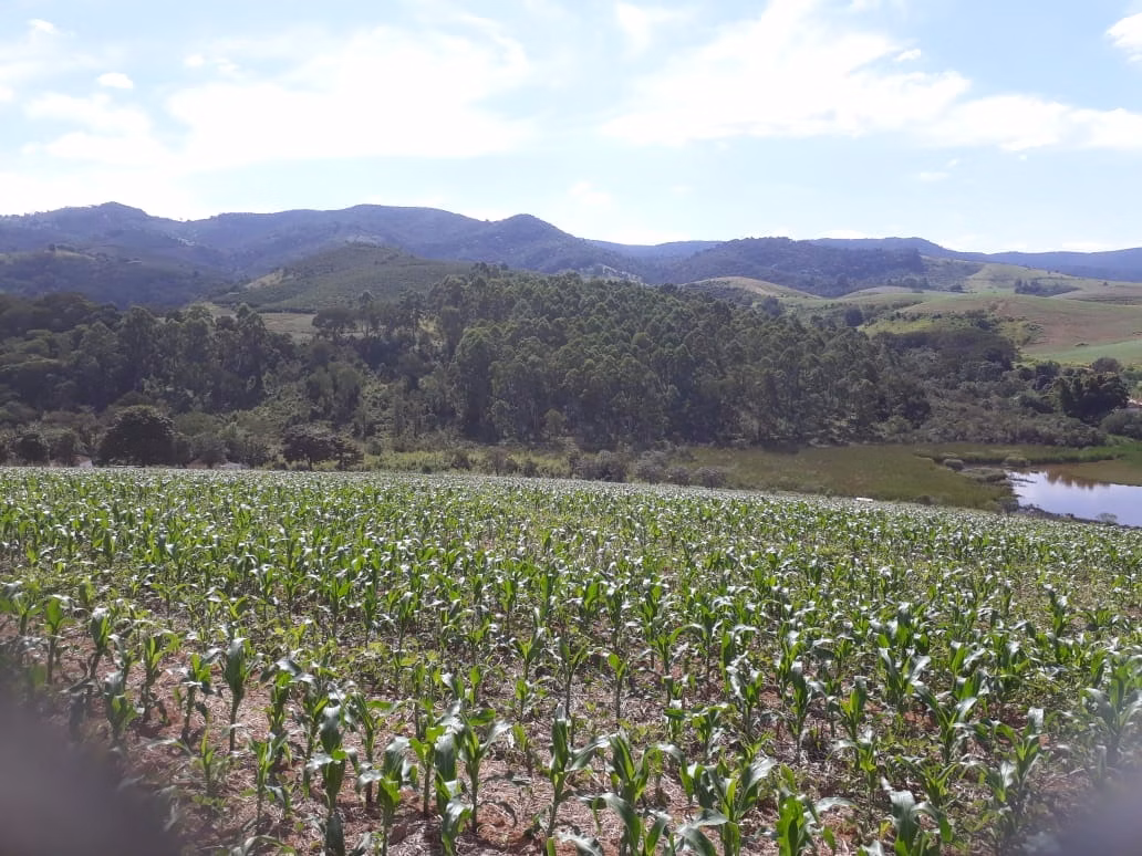 Fazenda de 457 ha em São Lourenço, MG
