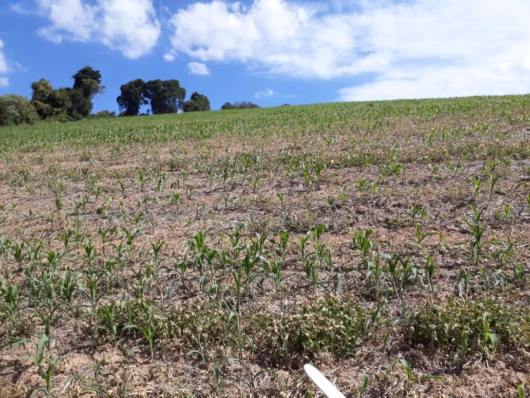 Fazenda de 457 ha em São Lourenço, MG