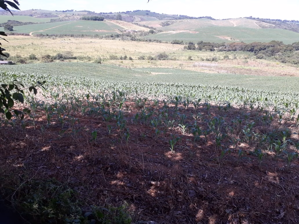 Fazenda de 457 ha em São Lourenço, MG