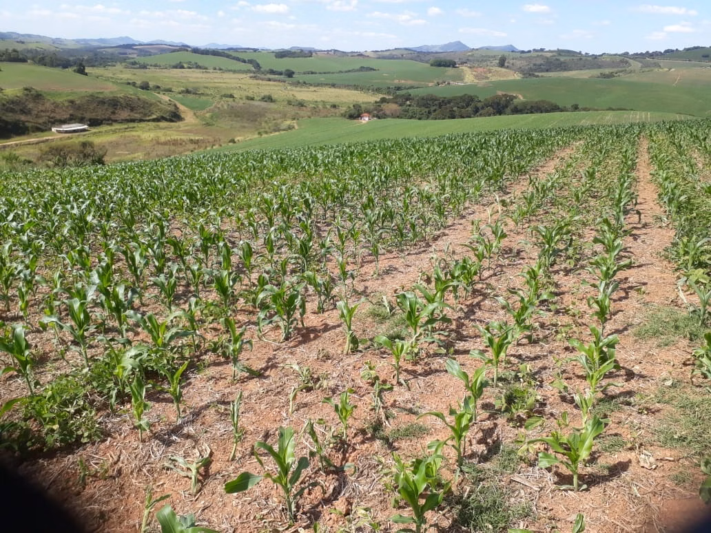 Fazenda de 457 ha em São Lourenço, MG