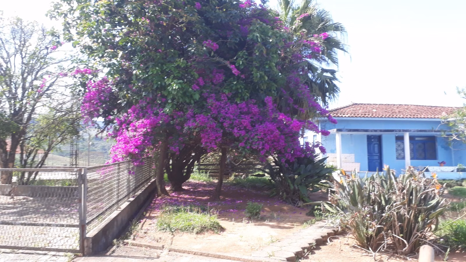 Fazenda de 457 ha em São Lourenço, MG