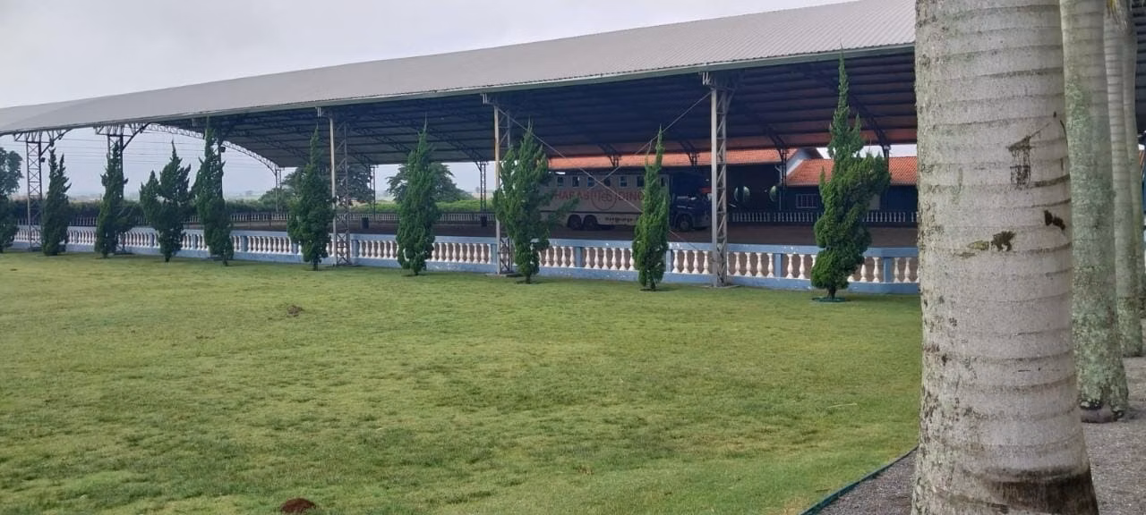 Small farm of 120 acres in Quadra, SP, Brazil