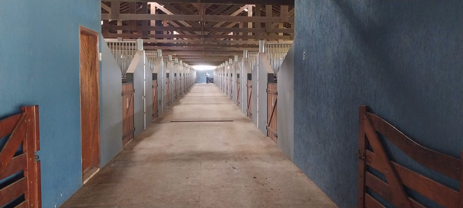 Small farm of 120 acres in Quadra, SP, Brazil