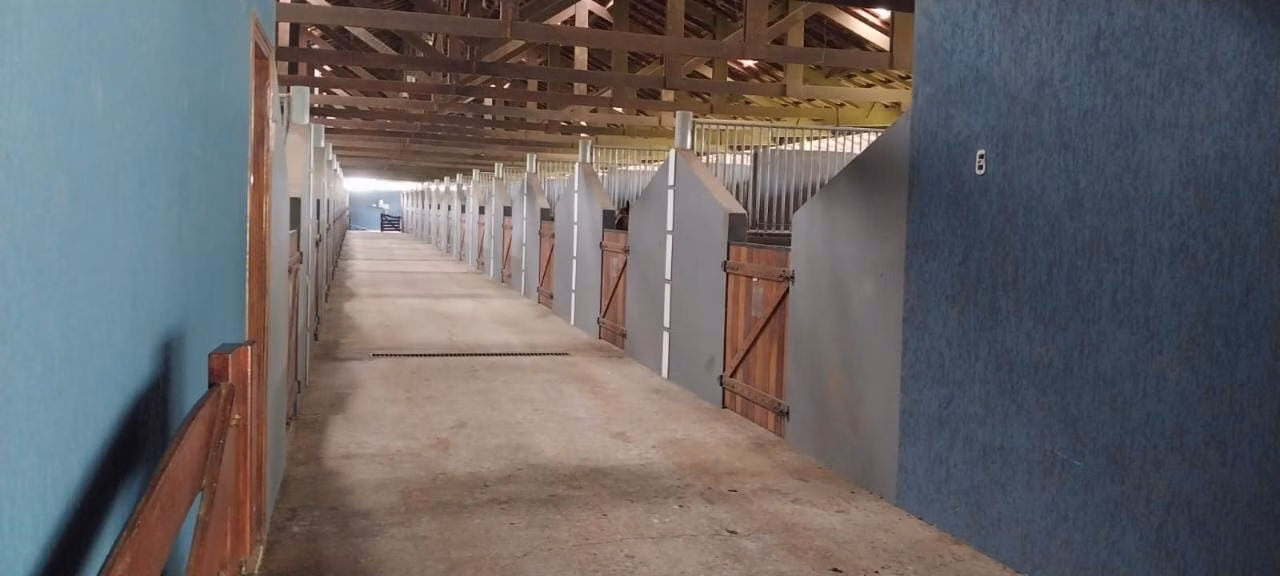 Small farm of 120 acres in Quadra, SP, Brazil