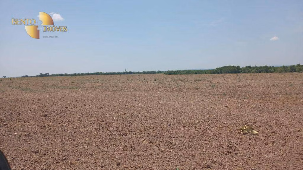Fazenda de 1.400 ha em Jangada, MT